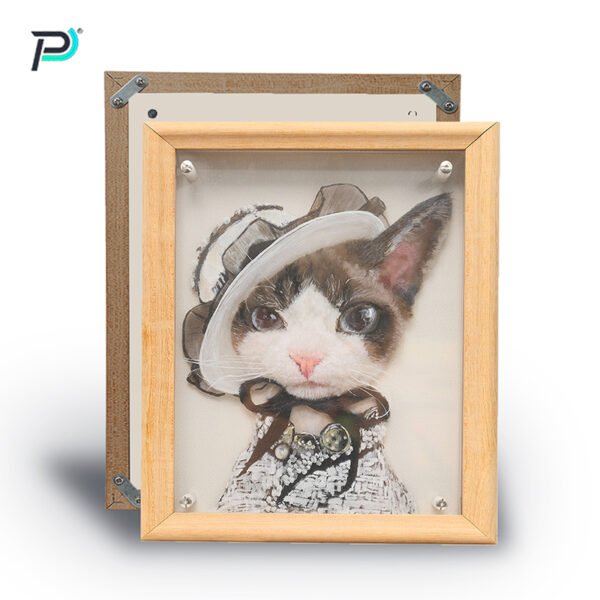 Elegant Ladies Collection